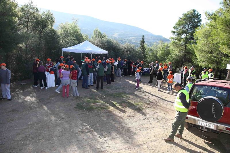 Μικροί και μεγάλοι έτοιμοι για αναδάσωση Image